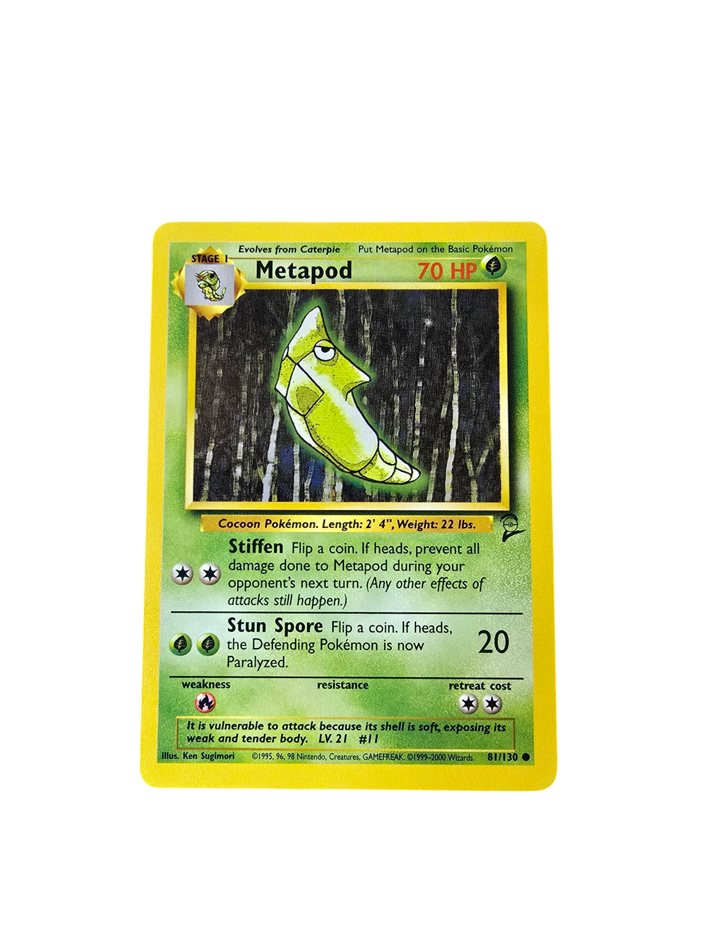 Metapod 81/130